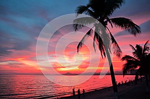 Sunset over the sea with silhouette of palm trees and some tourists at beach in distance. Sanya, China.