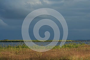 Sunset over the sea, wildlife of the north