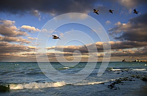 Sunset over the seashore