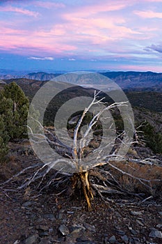 Sunset over the Sierra Nevada