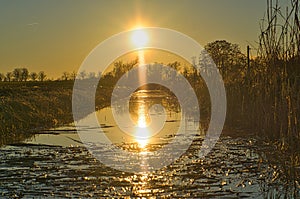 Sunset over a small river with reeds on the bank. Gold yellow light. Reflection