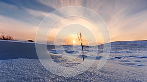 Sunset over the snow field on the Bashang of Inner Mongolia in winter
