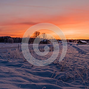 Sunset over a snowy and cold varmland, Sweden photo