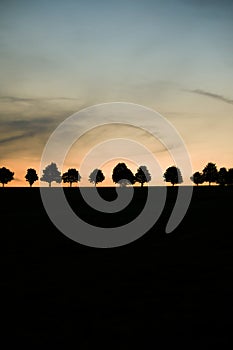 sunset over some tree silhouettes, colorfull sky