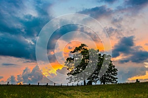 Sunset over splitrail fence, Cumberland Gap National Park