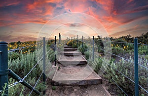 Sunset over Steps along the hiking trail above Dana Point Harbor