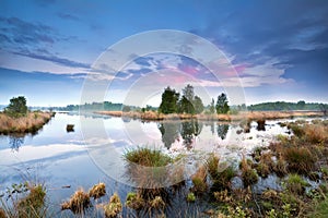 Sunset over swamp in Drenthe