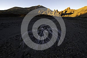 Sunset over Teide vulcano