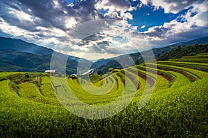 Sunset over Terraced rice fields, Mu Cang Chai, Yen Bai, Vietnam