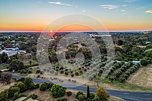 Sunset over trees in Australian rural area.