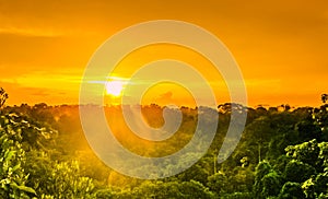 Sunset over the trees in the brazilian rainforest of Amazonas photo