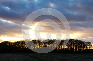 Sunset over trees in an english field