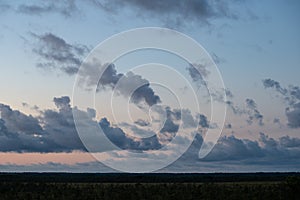 sunset over trees in forest