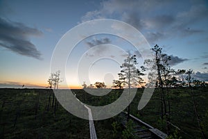 sunset over trees in forest