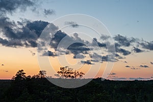 sunset over trees in forest