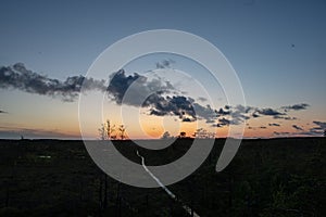 sunset over trees in forest