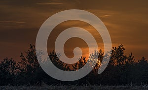 Sunset over trees near Lukov village