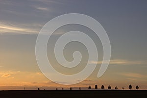 Sunset over trees