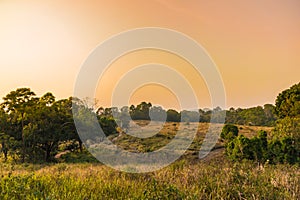 Sunset over tropical savannah landscape, orange yellow lighting in Thailand