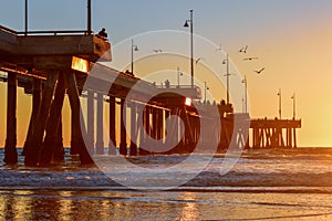 Sunset over Venice Beach Pier in Los Angeles, California - Birds