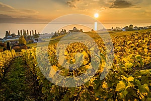 Sunset over vineyards in Lutry