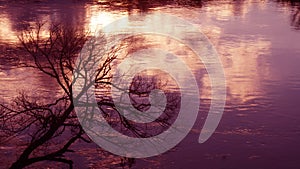 Sunset over the Waikato river in Ngaruawahia