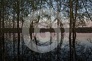 Sunset over water and trees