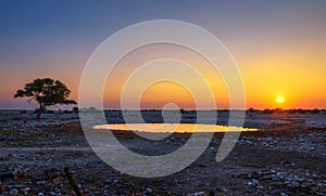 Sunset over the waterhole of Okaukuejo Camp in Etosha, Namibia