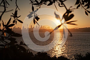 Sunset over Watsons bay with the Sydney skyline in the horizon