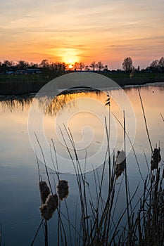 Sunset over a wetland in the western part of The Netherlands