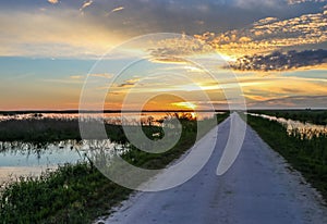 Sunset over Wetlands of Florida