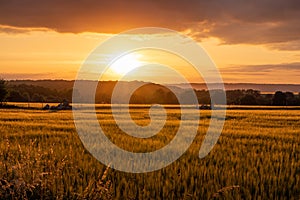 The sunset over wheat field in Germany