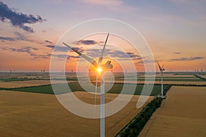 Sunset over the windmills. Wind turbines over fields of wheat and sunflowers