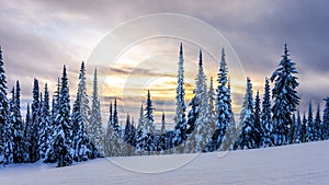 Sunset over a Winter Landscape with Snow Covered Trees on the Ski Hills near the village of Sun Peaks