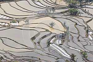 Sunset over YuanYang rice terraces in Yunnan, China, one of the latest UNESCO World Heritage Sites