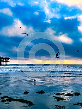 Sunset at pacific beach