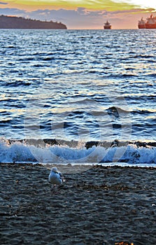 Sunset at Pacific ocean from English Bay, Downtown Vancouver, British Columbia