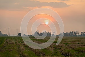 Sunset at Paddy Field