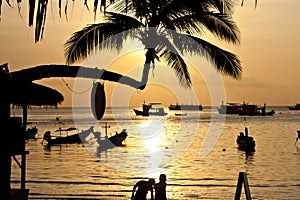 Sunset with palm and boats on tropical beach. Ko Tao island,