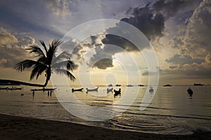 Sunset with palm and longtail boats on tropical beach. Ko Tao island, Thailand