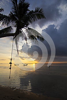 Sunset with palm and longtail boats on tropical beach. Ko Tao island, Thailand