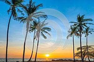 Sunset with palm trees on beach