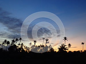 Sunset on palm trees, bright colors, bora fakarava french polynesia, pontoon, deck photo