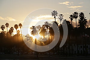 Sunset Palm Trees Santa Barbara California Silhouette Sun Flare