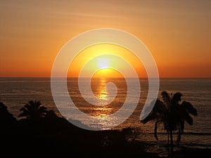 Sunset with palmtrees