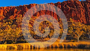 Sunset panorama of Glen Helen Gorge