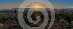 Sunset panorama landscape of olive groves and gentle rolling hills on the Peloponnese of Greece