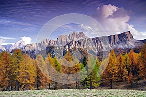 Sunset panoramic view of Croda da Lago in autumn.