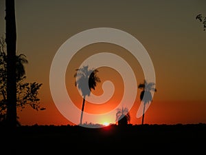 Sunset at Pantanal