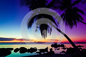Sunset paradise landscape with palm tree and rock silhouettes over sea